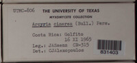 Image Associated With the Occurence